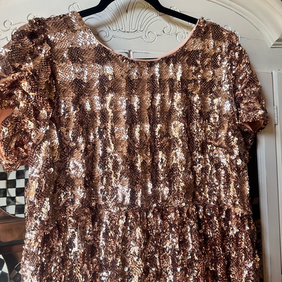 XL Anthropologie Maeve Bernadette Sequined Midi Dress - Picture 5 of 7